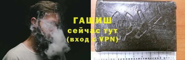 дмт Киреевск
