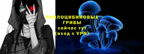 дмт Киреевск